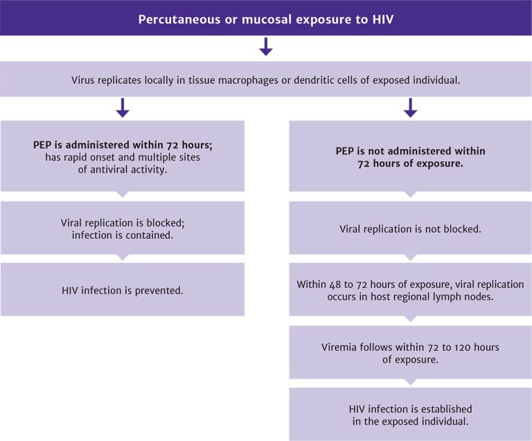 Figure 1: Sequence of Events Following HIV Exposure, With and Without Administration of PEP