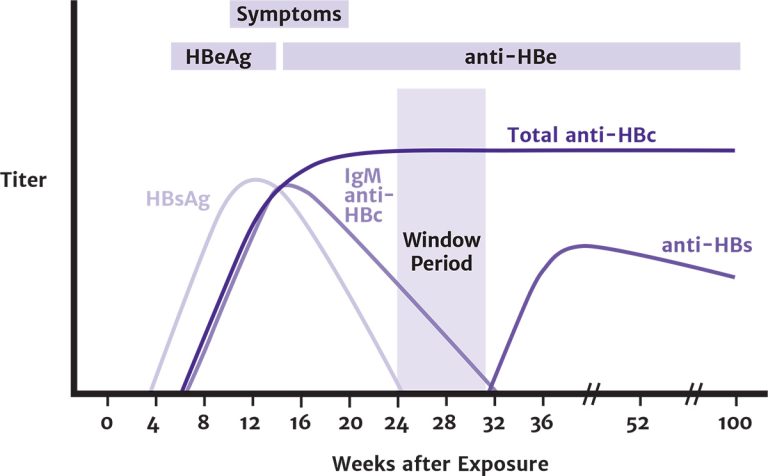 Figure 1: Typical Serologic Course of Acute Hepatitis B Virus Infection With Recovery